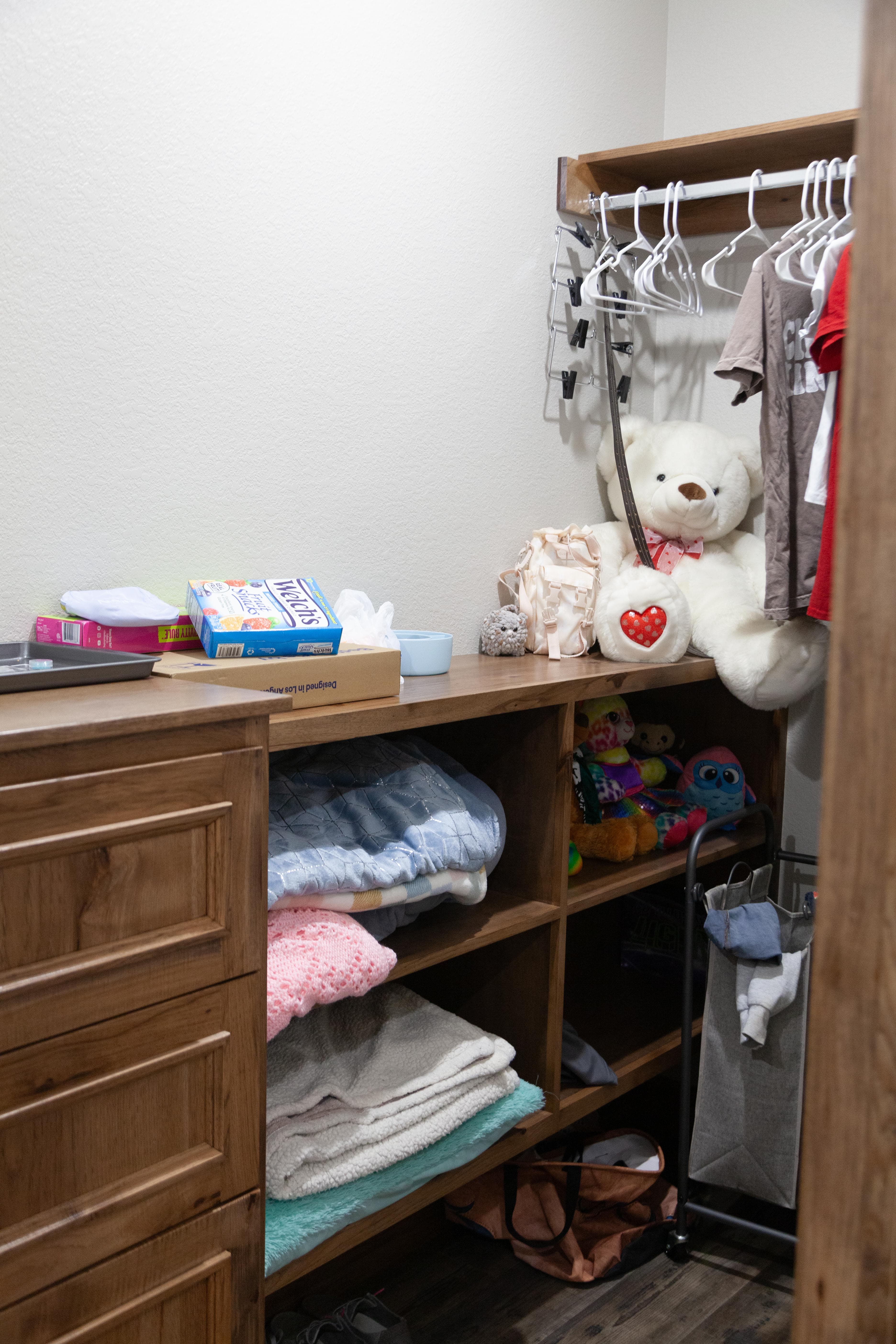 Closet storage system